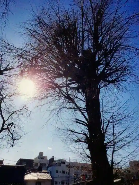 東福寺(東京都)