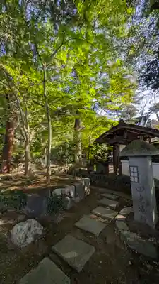 宝幢寺(京都府)