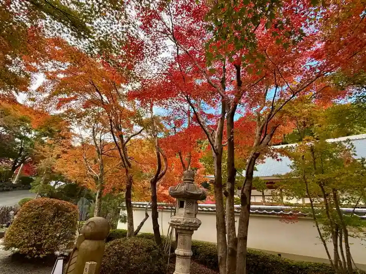 宝徳寺(群馬県)