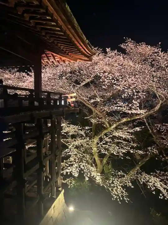 園城寺(三井寺)(滋賀県)