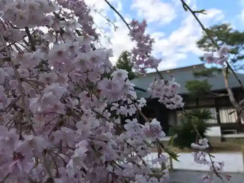 岩田寺の庭園