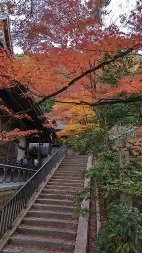 禅林寺（永観堂）(京都府)