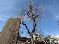 湯島天満宮の{uncategorized: "未分類", other: "その他", undefined: "問題あり", building: "その他建物", grave: "お墓", sacred_gate: "鳥居", guardian: "狛犬", statue: "像", buddha: "仏像", history: "歴史", nature: "自然", garden: "庭園", animal: "動物", pagoda: "塔", temizu: "手水舎", mountain_gate: "山門・神門", sanctuary: "本殿・本堂", subordinate: "末社・摂社", art: "芸術", scenery: "景色", jizo: "地蔵", ema: "絵馬", goshuin: "御朱印", omikuji: "おみくじ", items: "授与品その他", amulet: "お守り", goshuincho: "御朱印帳", eats: "食事", festival: "お祭り", votive_dance: "神楽", shichigosan: "七五三参", wedding: "結婚式", experience: "体験その他", initially: "初詣", around: "周辺", anti_infection: "感染症対策"}