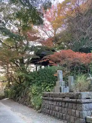 妙本寺(神奈川県)