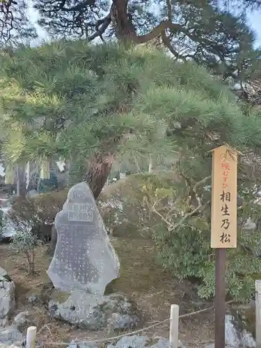 宝登山神社(埼玉県)