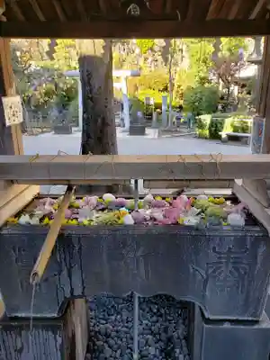鳩森八幡神社の手水舎