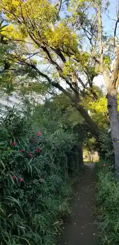 東稲荷神社の自然