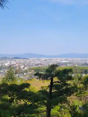 常寂光寺(京都府)