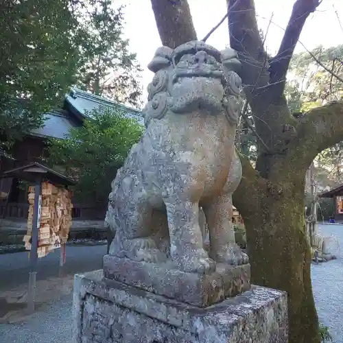 報徳二宮神社の狛犬