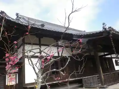 浄光明寺の本殿・本堂