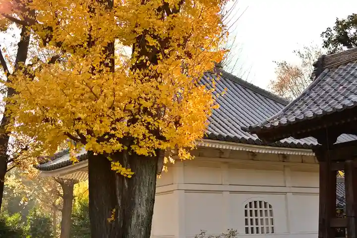 寛永寺開山堂のその他建物
