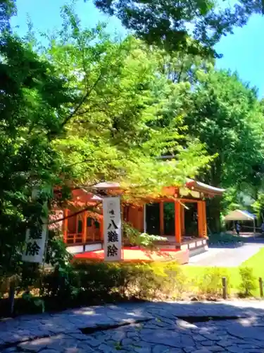 阿佐ヶ谷神明宮(東京都)