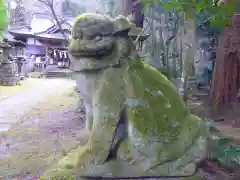 五所駒瀧神社の狛犬