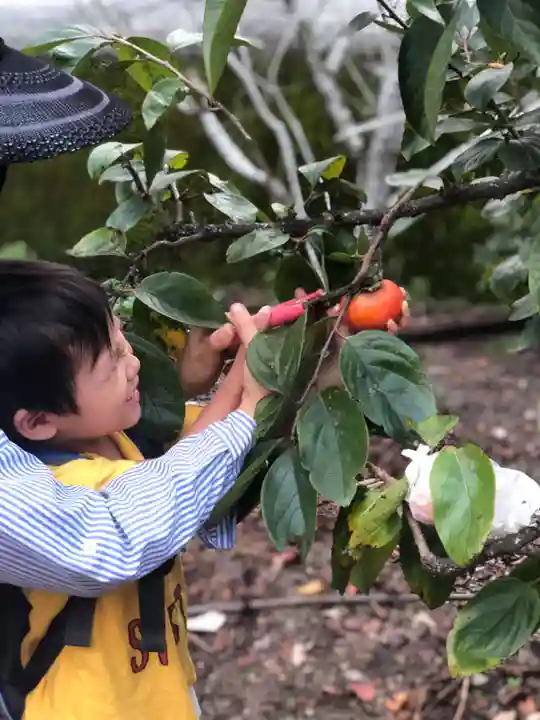 木舟山 順教寺(広島県)