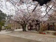 阿部野神社(大阪府)