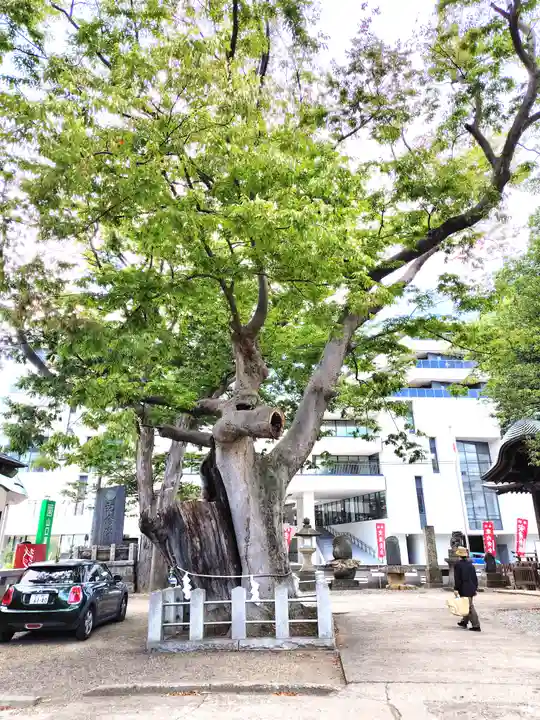 阿邪訶根神社(福島県)