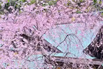 根岸八幡神社(神奈川県)