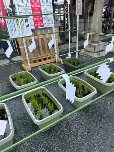 亀戸浅間神社(東京都)