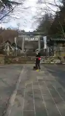 南湖神社の鳥居