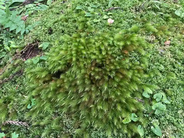御岩神社(茨城県)