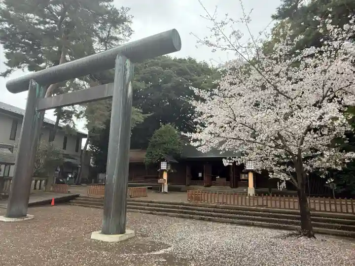 埼玉縣護國神社(埼玉県)