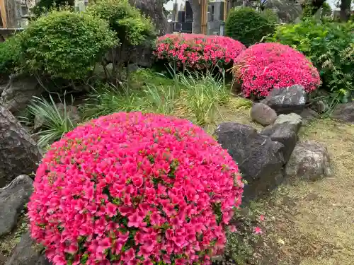 善慶寺の{uncategorized: "未分類", other: "その他", undefined: "問題あり", building: "その他建物", grave: "お墓", sacred_gate: "鳥居", guardian: "狛犬", statue: "像", buddha: "仏像", history: "歴史", nature: "自然", garden: "庭園", animal: "動物", pagoda: "塔", temizu: "手水舎", mountain_gate: "山門・神門", sanctuary: "本殿・本堂", subordinate: "末社・摂社", art: "芸術", scenery: "景色", jizo: "地蔵", ema: "絵馬", goshuin: "御朱印", omikuji: "おみくじ", items: "授与品その他", amulet: "お守り", goshuincho: "御朱印帳", eats: "食事", festival: "お祭り", votive_dance: "神楽", shichigosan: "七五三参", wedding: "結婚式", experience: "体験その他", initially: "初詣", around: "周辺", anti_infection: "感染症対策"}