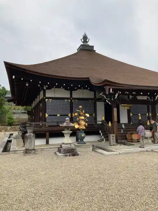 仁和寺の本殿・本堂