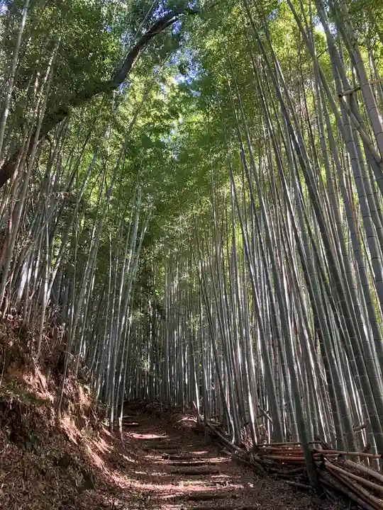 石清水八幡宮(京都府)