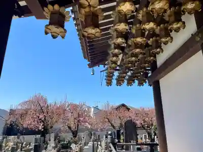 実相院の{uncategorized: "未分類", other: "その他", undefined: "問題あり", building: "その他建物", grave: "お墓", sacred_gate: "鳥居", guardian: "狛犬", statue: "像", buddha: "仏像", history: "歴史", nature: "自然", garden: "庭園", animal: "動物", pagoda: "塔", temizu: "手水舎", mountain_gate: "山門・神門", sanctuary: "本殿・本堂", subordinate: "末社・摂社", art: "芸術", scenery: "景色", jizo: "地蔵", ema: "絵馬", goshuin: "御朱印", omikuji: "おみくじ", items: "授与品その他", amulet: "お守り", goshuincho: "御朱印帳", eats: "食事", festival: "お祭り", votive_dance: "神楽", shichigosan: "七五三参", wedding: "結婚式", experience: "体験その他", initially: "初詣", around: "周辺", anti_infection: "感染症対策"}