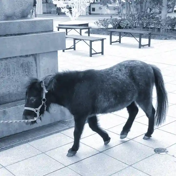 神田神社(神田明神)の動物