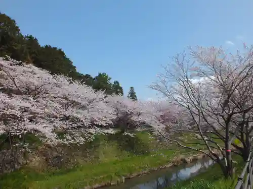 菌神社(滋賀県)
