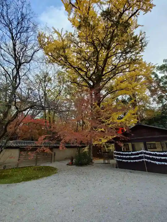 河合神社(鴨川合坐小社宅神社)(京都府)