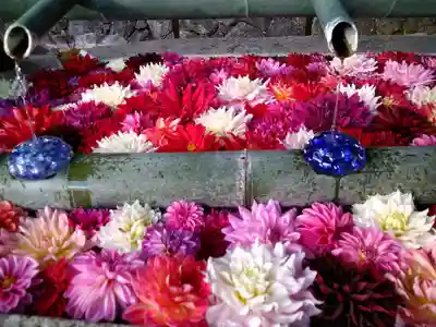 岡寺（龍蓋寺）の手水舎