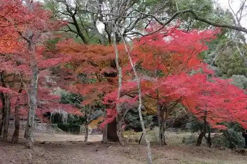 御調八幡宮の自然