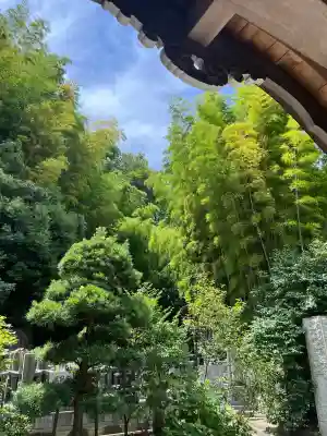 吉祥寺の{uncategorized: "未分類", other: "その他", undefined: "問題あり", building: "その他建物", grave: "お墓", sacred_gate: "鳥居", guardian: "狛犬", statue: "像", buddha: "仏像", history: "歴史", nature: "自然", garden: "庭園", animal: "動物", pagoda: "塔", temizu: "手水舎", mountain_gate: "山門・神門", sanctuary: "本殿・本堂", subordinate: "末社・摂社", art: "芸術", scenery: "景色", jizo: "地蔵", ema: "絵馬", goshuin: "御朱印", omikuji: "おみくじ", items: "授与品その他", amulet: "お守り", goshuincho: "御朱印帳", eats: "食事", festival: "お祭り", votive_dance: "神楽", shichigosan: "七五三参", wedding: "結婚式", experience: "体験その他", initially: "初詣", around: "周辺", anti_infection: "感染症対策"}