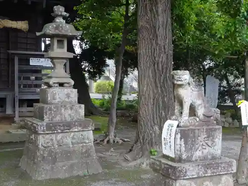 浅間大神の狛犬