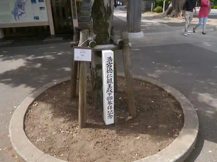 高麗神社の自然