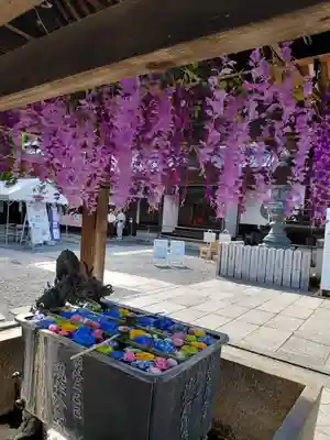 柳谷観音　楊谷寺(京都府)