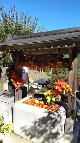 観音寺の手水舎