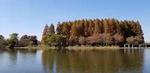 徳島稲荷神社(埼玉県)