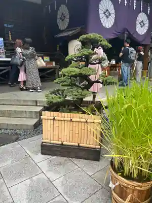 東京大神宮(東京都)