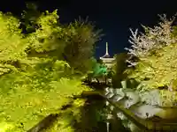 東寺(教王護国寺)の景色