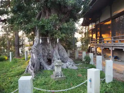 熊野神社のその他建物