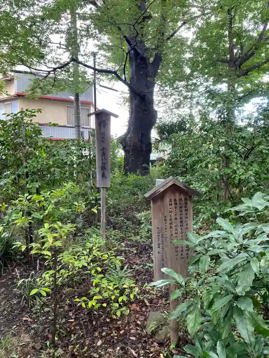 柞祖霊社の自然