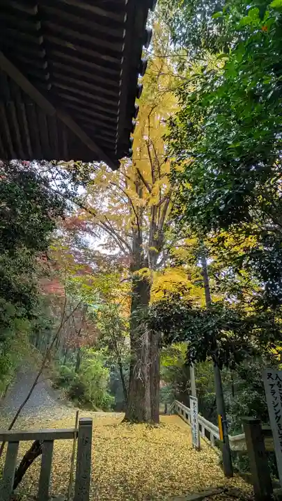 観音寺(山崎聖天)(京都府)