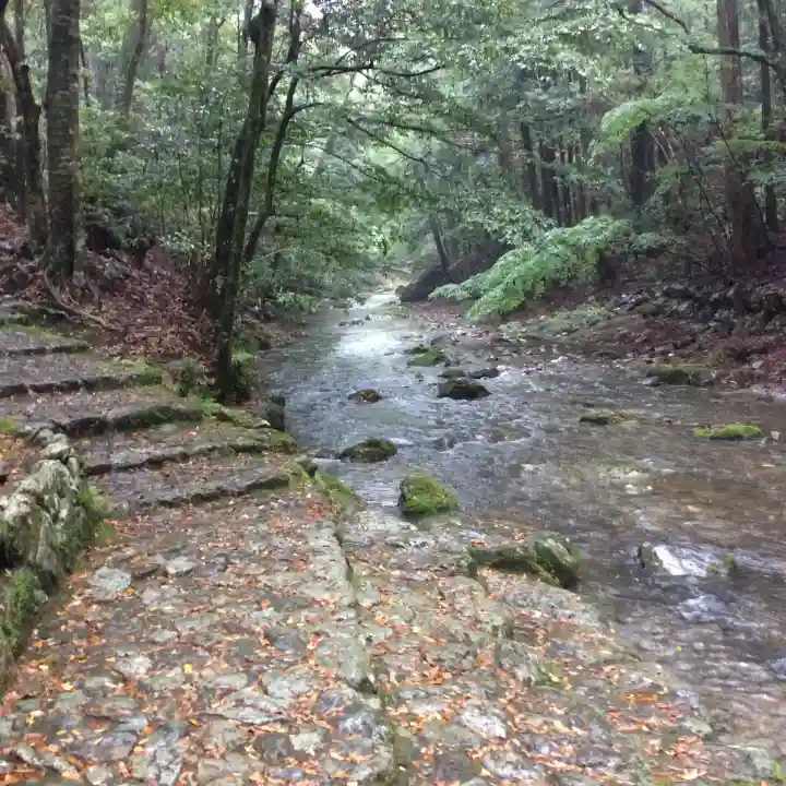 瀧原宮(皇大神宮別宮)の{uncategorized: "未分類", other: "その他", undefined: "問題あり", building: "その他建物", grave: "お墓", sacred_gate: "鳥居", guardian: "狛犬", statue: "像", buddha: "仏像", history: "歴史", nature: "自然", garden: "庭園", animal: "動物", pagoda: "塔", temizu: "手水舎", mountain_gate: "山門・神門", sanctuary: "本殿・本堂", subordinate: "末社・摂社", art: "芸術", scenery: "景色", jizo: "地蔵", ema: "絵馬", goshuin: "御朱印", omikuji: "おみくじ", items: "授与品その他", amulet: "お守り", goshuincho: "御朱印帳", eats: "食事", festival: "お祭り", votive_dance: "神楽", shichigosan: "七五三参", wedding: "結婚式", experience: "体験その他", initially: "初詣", around: "周辺", anti_infection: "感染症対策"}