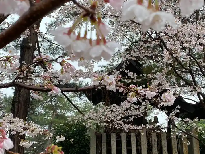 千光寺(広島県)