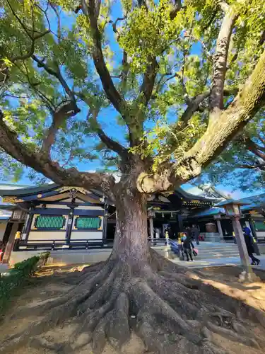 穴八幡宮(東京都)
