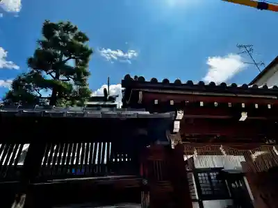 京都ゑびす神社(京都府)