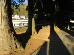 河口浅間神社の建物その他